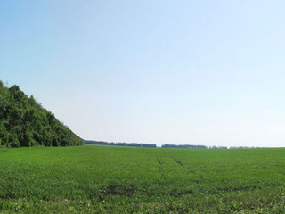 panorama_fs.jpg